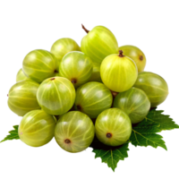 A Closeup of a Bunch of Fresh Green Gooseberries on a Leaf png
