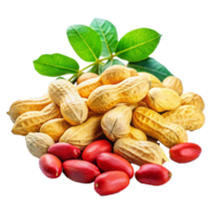 A Closeup of Peanuts in Their Shells with Fresh Green Leaves and Surrounding Red Fruits png