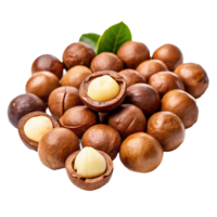 A Closeup of a Pile of Macadamia Nuts with Some Shells Open Revealing the Creamy White Kernels and Surrounded by Lush Green Leaves png