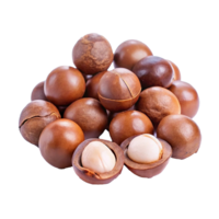 A CloseUp View of a Pile of Whole and Halved Macadamia Nuts png
