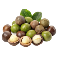 Fresh Macadamia Nuts in Shell with Opened Nuts Showing Creamy Interior and Green Leaves png