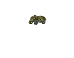 Funny green frog isolated on a transparent background png