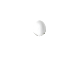 White egg isolated on transparent background png