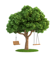 Tree with swing and bench png