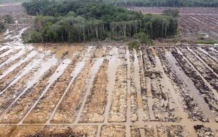 dranage in the land clearing area for sustainable oil palm cultivation photo