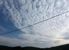 Morning Birds resting on the cable with cloudy background photo