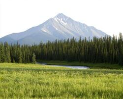 Expansive view of majestic mountains with snow capped peaks and lush greenery photo