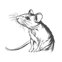 A black and white drawing of a mouse vector