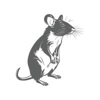 A black and white drawing of a rat vector