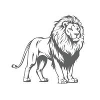 silhouette of a lion standing on a white background. vector