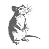 A black and white drawing of a rat vector