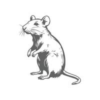 A rat is standing on its hind legs vector
