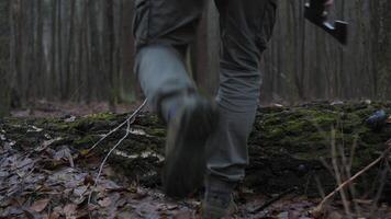 A man with a rucksack walks confidently through the autumn forest, stepping over a log covered with moss. The ground is damp and fallen leaves are scattered around video