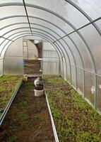 Greenhouse inside with open door, beds with grass, buckets with soil and watering can photo