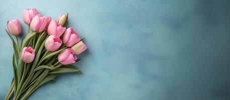 Pink Tulips on Soft Background with Copy Space , Perfect for Floral Designs and Greetings , Mother's Day , Valentine's Day photo