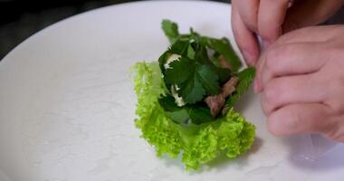 spring rolls making process step by step Spring roll with chicken or shrimps in rice paper with sweet and sour sauce close-up, cooking traditional korean chinese food. Tasty vietnamese cuisine. video
