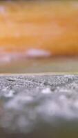 roll out the dough into a thin layer Process of cooking traditional turkish baklava pastry. Unidentified chef making thin filo dough for turkish pistachio dessert baklava video