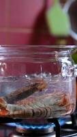cook shrimp step by step cooking process glass pan video