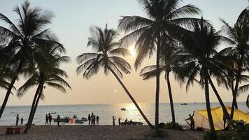 his stock motion graphics clip features the stunning Palms Beach during sunset. The silhouetted beach island has many small neighboring islets, also with palm trees. The islands and the dark blue sky video