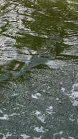 Blue waves of water of river and the sea meet each other during high tide and low tide. video