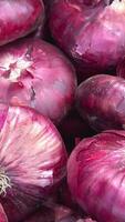 Rotating red onion. Pile of onions close up. video