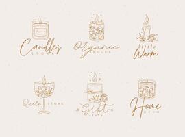 Candles with branches and leaves label collection drawing on beige background vector