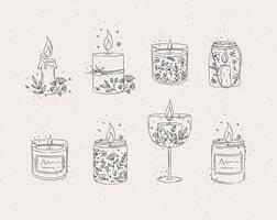 Candles with branches and leaves collection drawing on light background vector