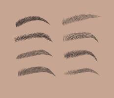 Eyebrows collection set in different shape form drawing with black on brown background vector