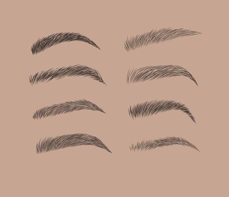 Eyebrows collection set in different shape form drawing with black on brown background
