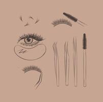 Lashes treatment studio tools collection drawing with black on brown background vector