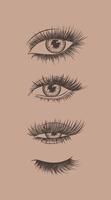 Eyes and eyelash collection drawing in graphic art style on brown background vector