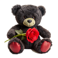 valentine day black teddy bear is setting with red rose is isolated on transparent background png