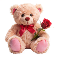valentine day 3d pink teddy bear is setting with red rose is isolated on transparent background png