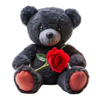 valentine day 3d black teddy bear is setting with red rose is isolated on transparent background png