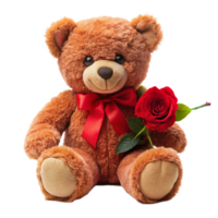 valentine day brown teddy bear is setting with red rose is isolated on transparent background png