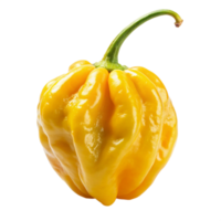 yellow Carolina reaper is isolated on transparent background png