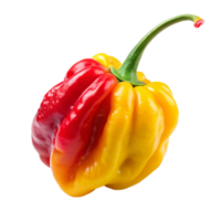 red and yellow Carolina reaper is isolated on transparent background png