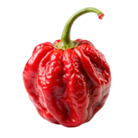 Carolina reaper is isolated on transparent background png