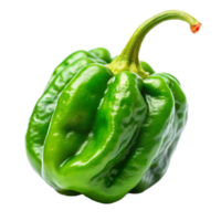 green Carolina reaper is isolated on transparent background png