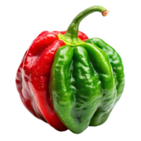 red and green Carolina reaper is isolated on transparent background png