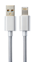 Close up of USB C to USB A cable with metallic connectors on a black background, tech accessory. png