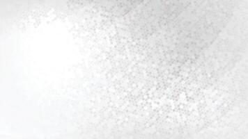 Minimalist White Hexagonal Abstract Background vector
