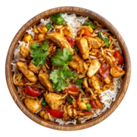 Chicken Biryani isolate on transparent background png