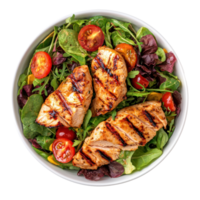 Grilled Chicken Salad isolate on transparent background png