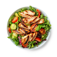 Grilled Chicken Salad top view isolate on transparent background png