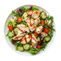 a plate of chicken and vegetables on background png