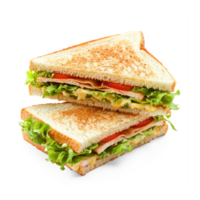 Slice of Sandwichess isolate on transparent background png