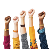 diverse hands raised high in unity isolate on transparent background png