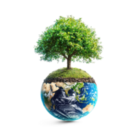 Earth with green tree isolate on transparent background png