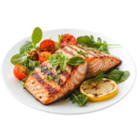 Grilled Salmon with Vegetables isolate on transparent background png